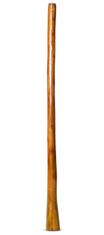 Gloss Finish Didgeridoo (TW761)